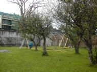 Polytunnel 4